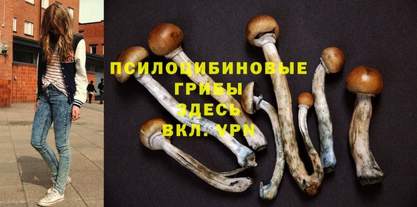 мяу мяу мука Богородск